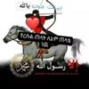 user31946102135382