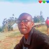 user7496509008395