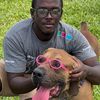 afrika_oasis_boerboels