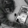 erdasher_