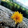 user8605174190436