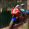 user6197356121481