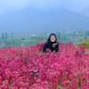 herlina.indri18
