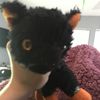 silly_katz10