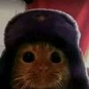 ivan.fin.o.inicio