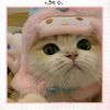 all_hiss_4ever