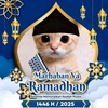 pp_ramadhan_kucing