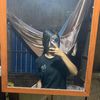 da_lin1_34