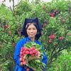 thientrang8688