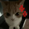 ahowaka