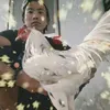 binh67.me_ga_noi