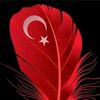 .brewok86