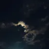 anleeart
