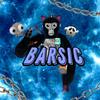 _barsic_vr