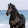 user61061084525345