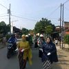 ade_irma217