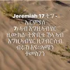 shalomhabeshalife7