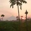 dhanafrazs