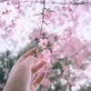 thanh.lan.phan28