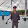 shahin_317