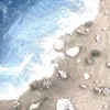 seayzen