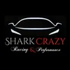 sharkcrazy73