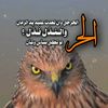 user27599108158162