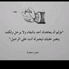 basma85622