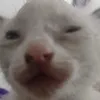 ferchooo416