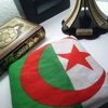 mohamedchouia37