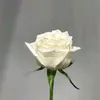 nada_yosaf1123