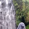 anggdh_