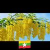 kosoe0844