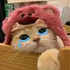 jihan_azzahra73