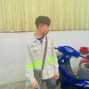 pimphaspd