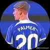 colepalnhan20
