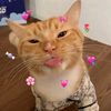 bwilaww