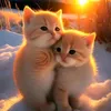 minhphuc_16