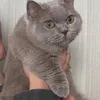 hudngbch