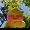 cin_taaaawww