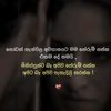 dinu34911