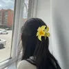 mimikaq_543
