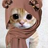 mochifya09