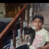 hazikmalik08