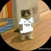 inhchimto