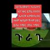 senbit.jemal