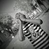 adamatoure804