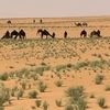 khaled.alanzi78