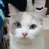 millycyrusmoooy