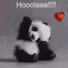 ositooooo591